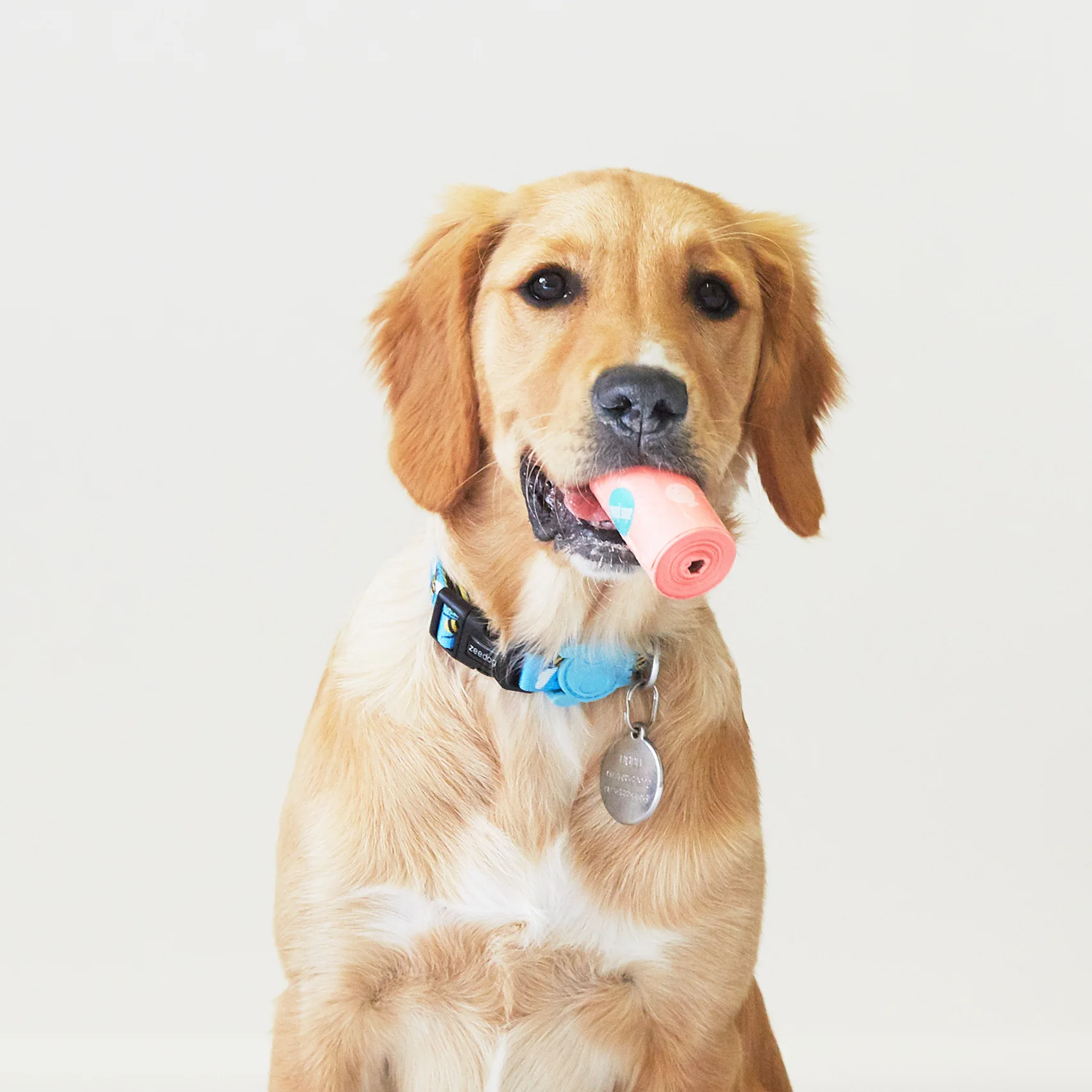 Adios Plastic Compostable Poop Bags - Image 8