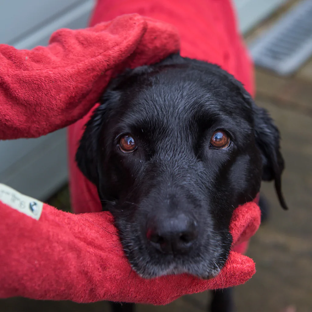 Ruff and Tumble Drying Mitts - Image 6