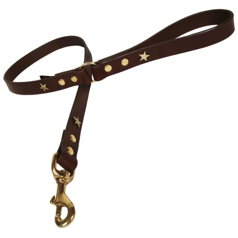Creatures Clothes Brown Star Leather Lead - Image 3