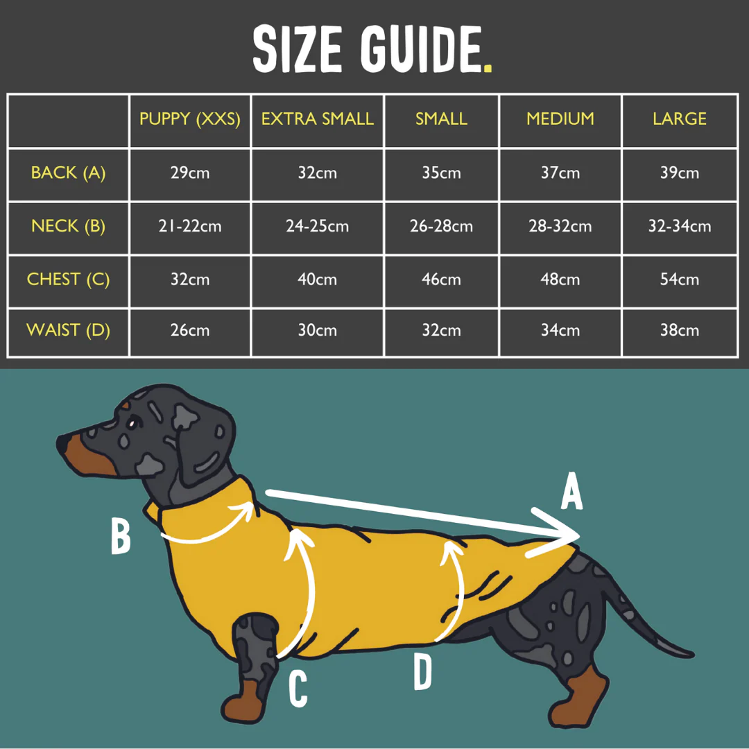 Dachshund Fleece Jumper - Image 28
