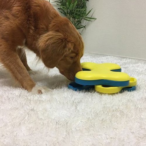 Nina Ottosson Dog Tornado - Image 5