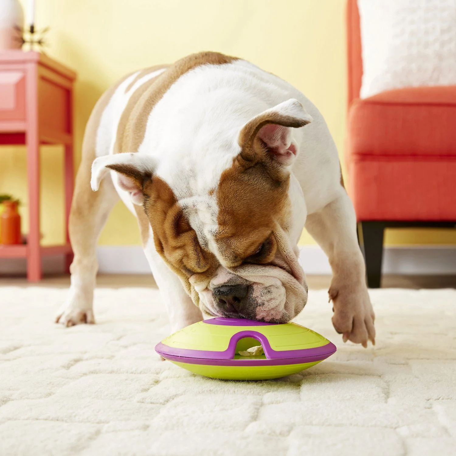 Nina Ottosson Dog Treat Maze - Image 3