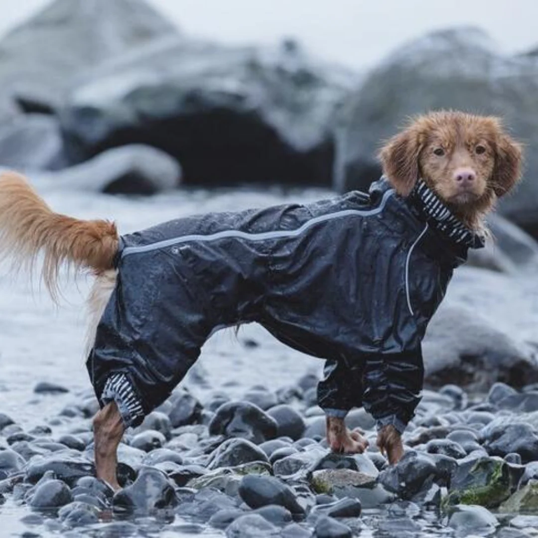 Hurtta Downpour Suit - Image 3