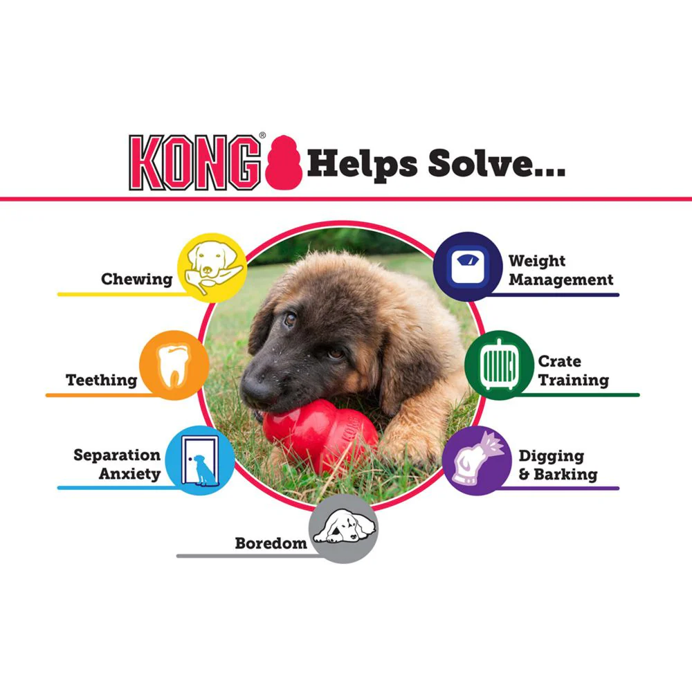 Kong Classic - Image 5