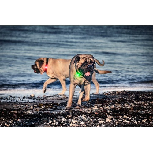 Orbiloc Collar Safety Light - Image 8