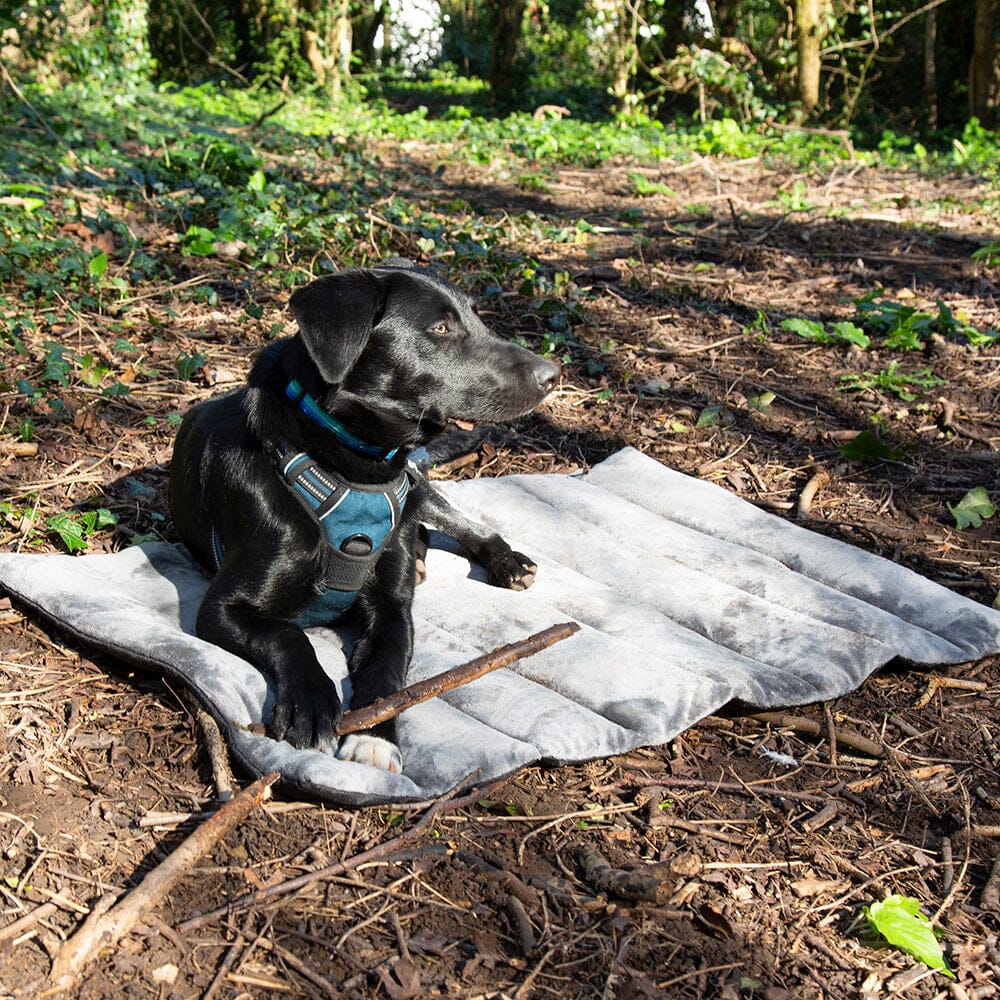 Scruffs Expedition Roll Up Travel Pet Bed - Image 3