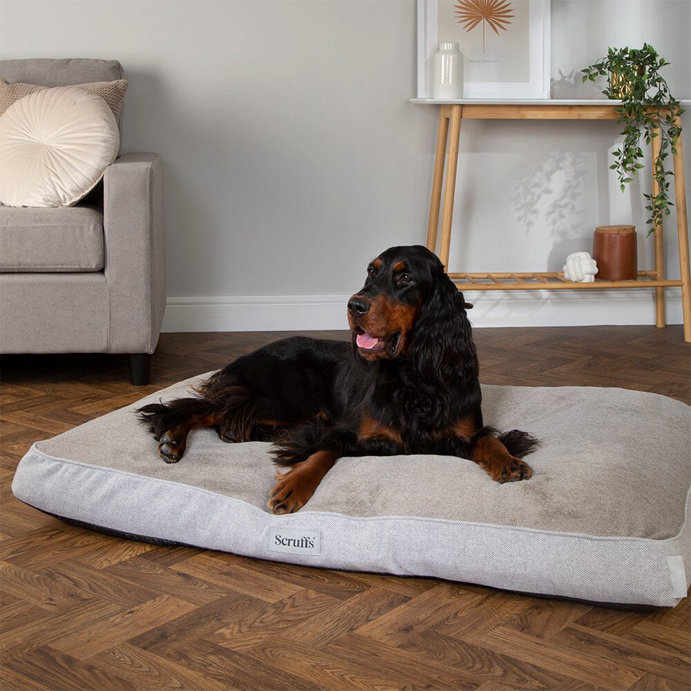 Scruffs Harvard Memory Foam Mattress - Pearl Grey - Image 5