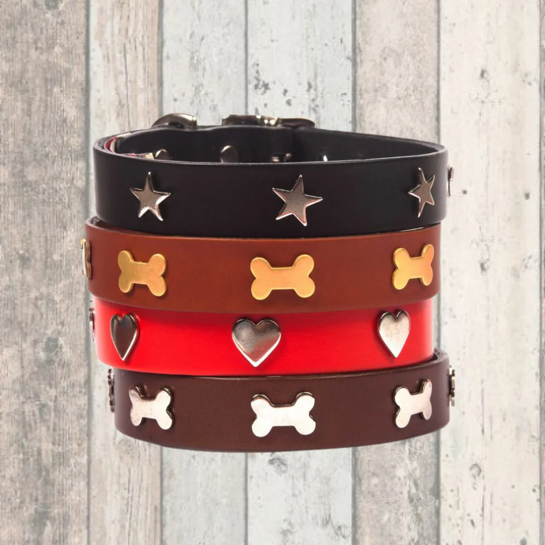 Tan Star Creature Clothes Dog Collar - Image 3